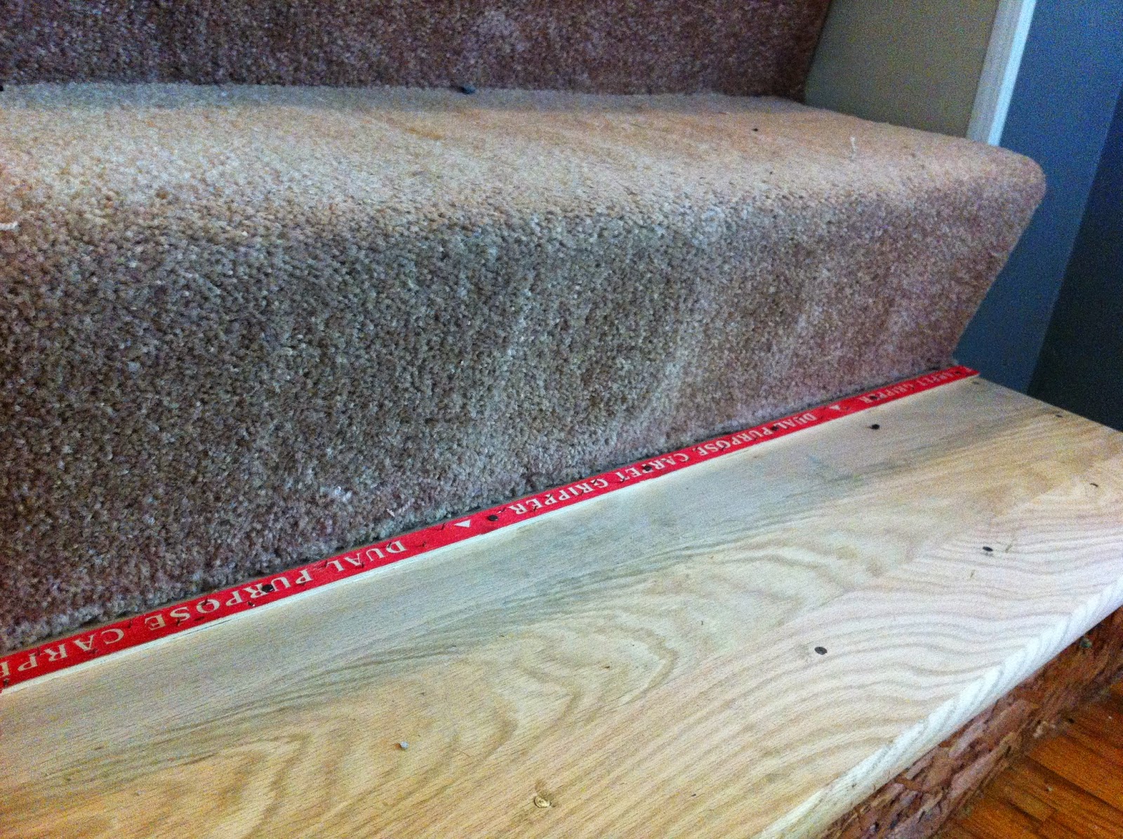 I Believe in Maricles