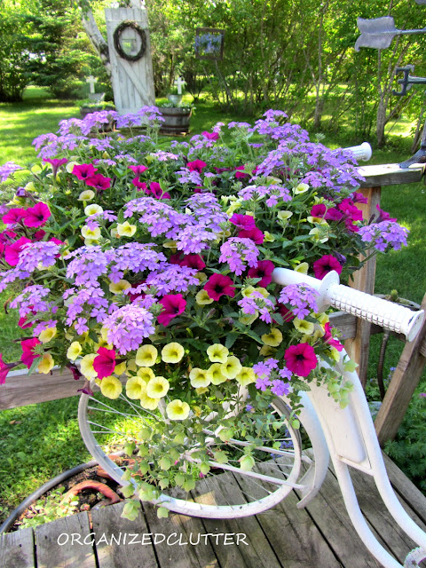 Garden Bike Basket of Annuals