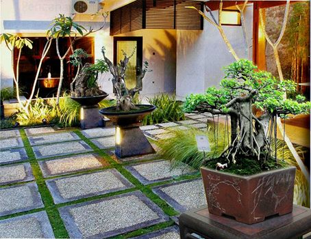 Manfaat Tanaman Bonsai Di Rumah Minimalis 