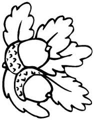 Acorn coloring pages 6