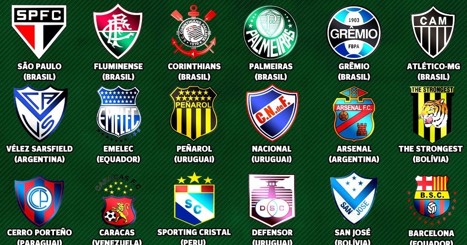 blog do tatu TIMES DA LIBERTADORES 2013! blog do tatu TIMES DA LIBERTADORES 2013!