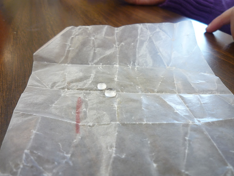 Team Spata What Happens When Paper Gets Wet?