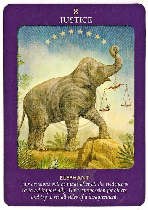 Tarot Notes Animal Tarot Time JUSTICE