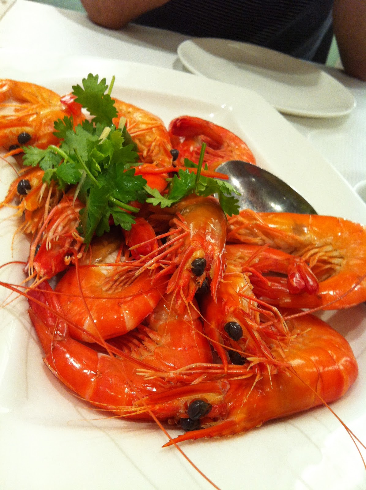 From Sydney to KL Chilli crab at Jumbo Seafood Gallery Singapore