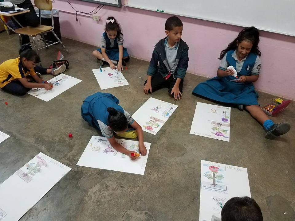 Biblioteca Juan Morel Campos Bayamón, Puerto Rico Más Proyectos