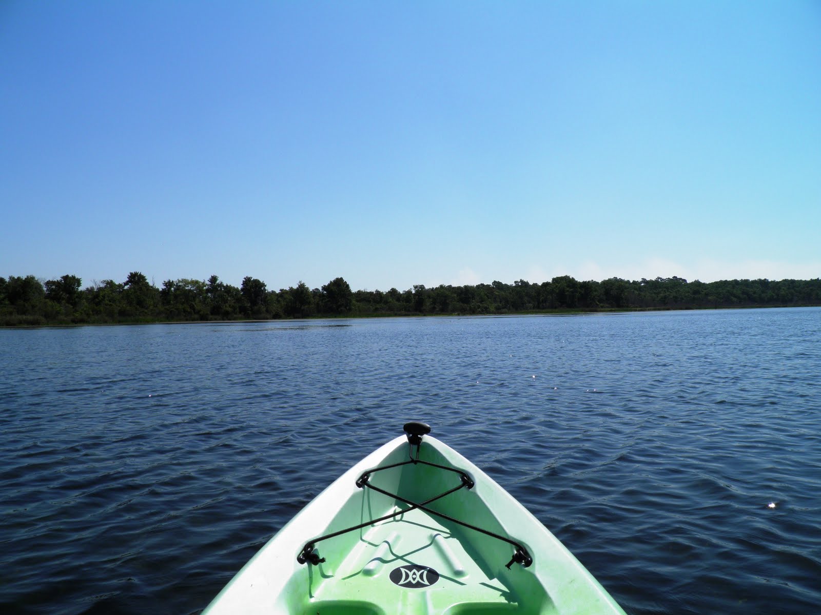 Views From Our Kayak Salt Springs Run