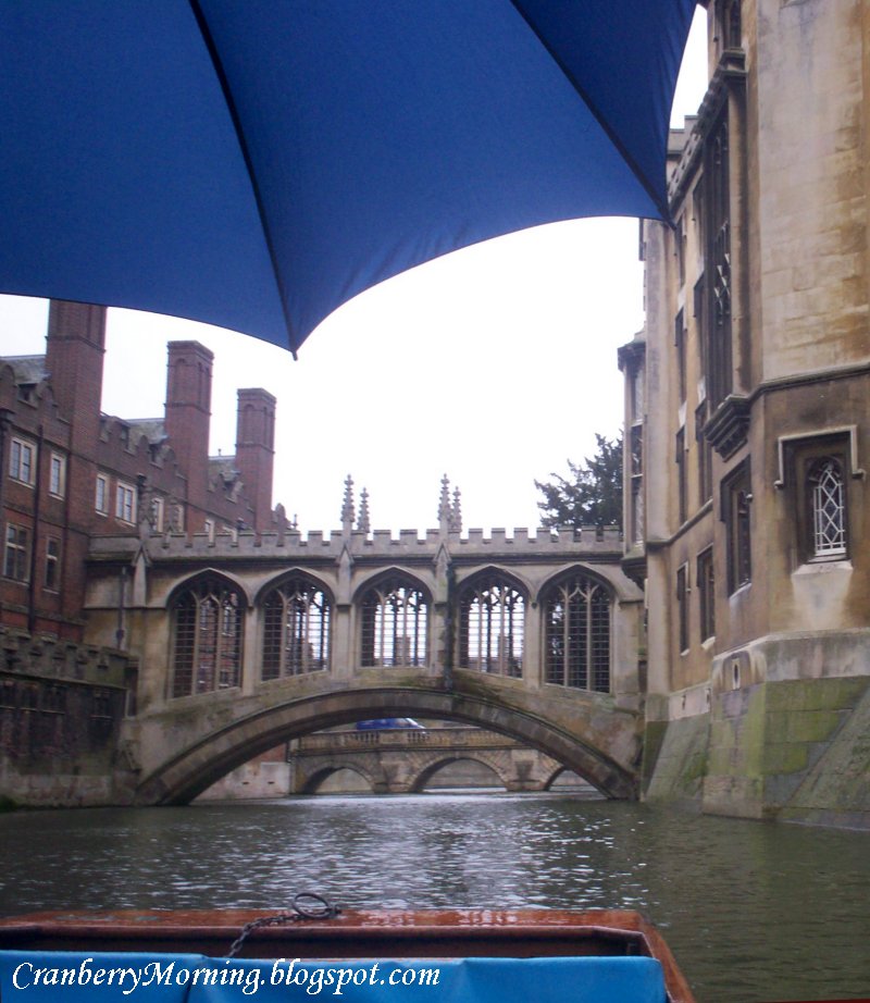 Cranberry Morning: Punting in the Rain - Cambridge ...