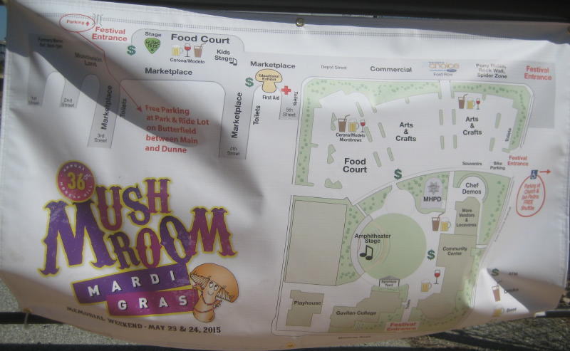 mardi gras festival morgan hill