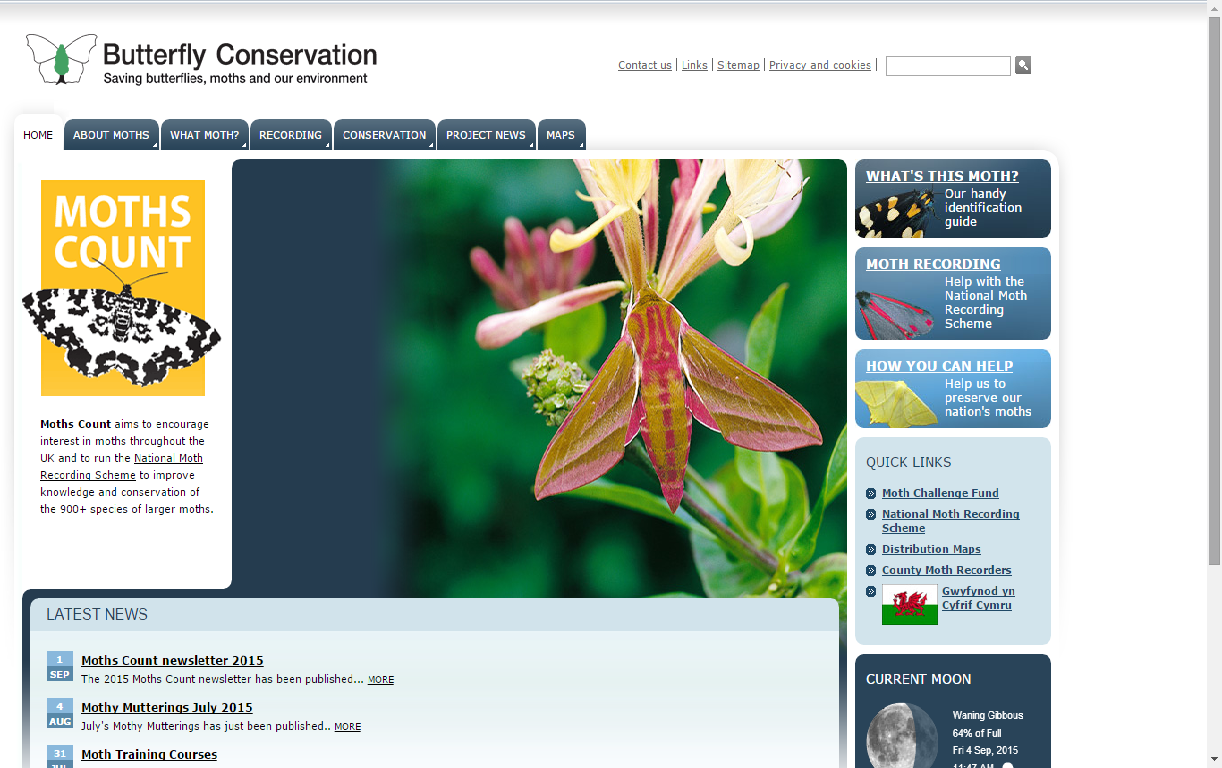 Mothing but the Best Butterfly and Moth Conservation Efforts in the UK