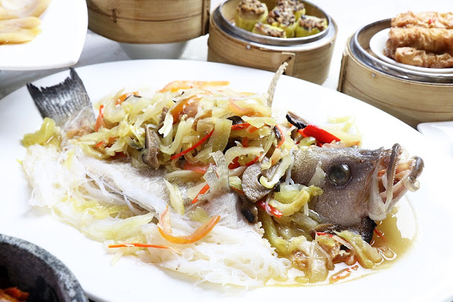 Whole Garoupa Fish Steam with“Teo Chew” Style and Glass Noodle