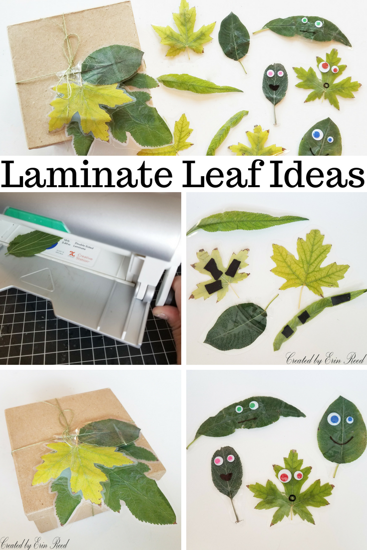 Erin Reed Makes 4 Fun Ways to Use Laminated Leaves