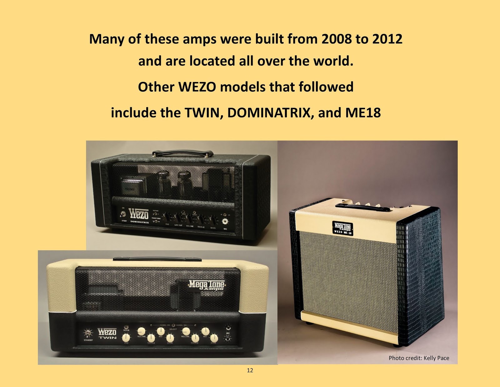 The MegaTone WEZO45 Harmonica Amp