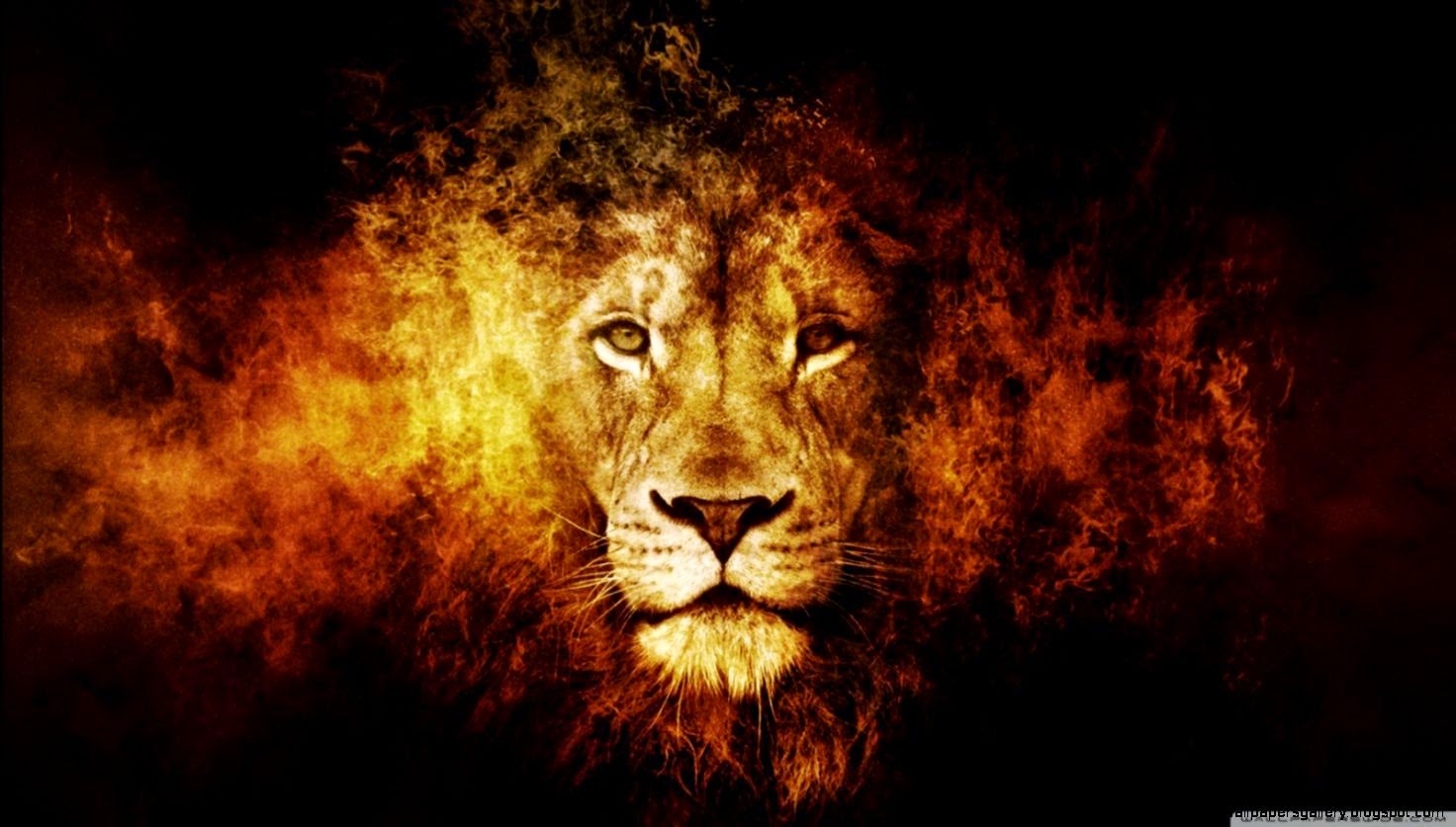 Lion HD desktop wallpaper  High Definition  Fullscreen  Mobile