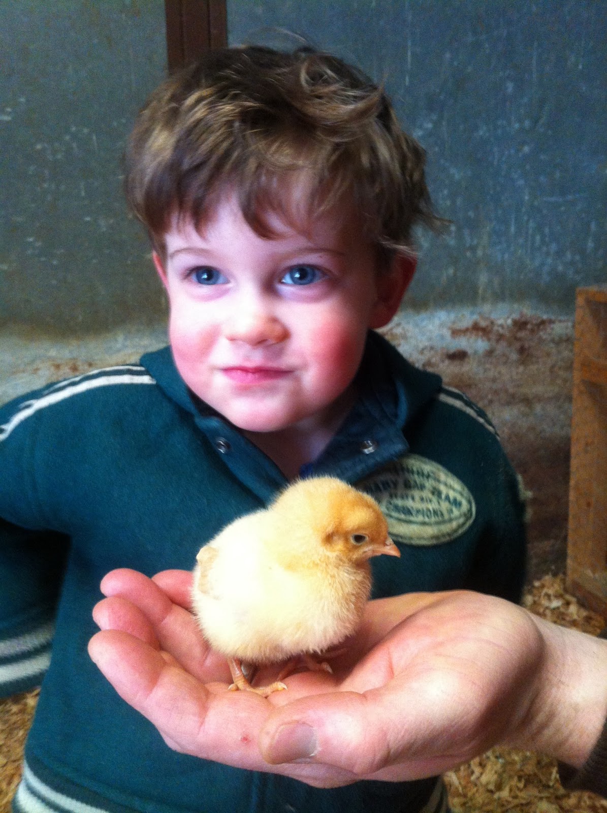 Johnson Family Adventures Spring, farm chores, cleanup, and Copelands