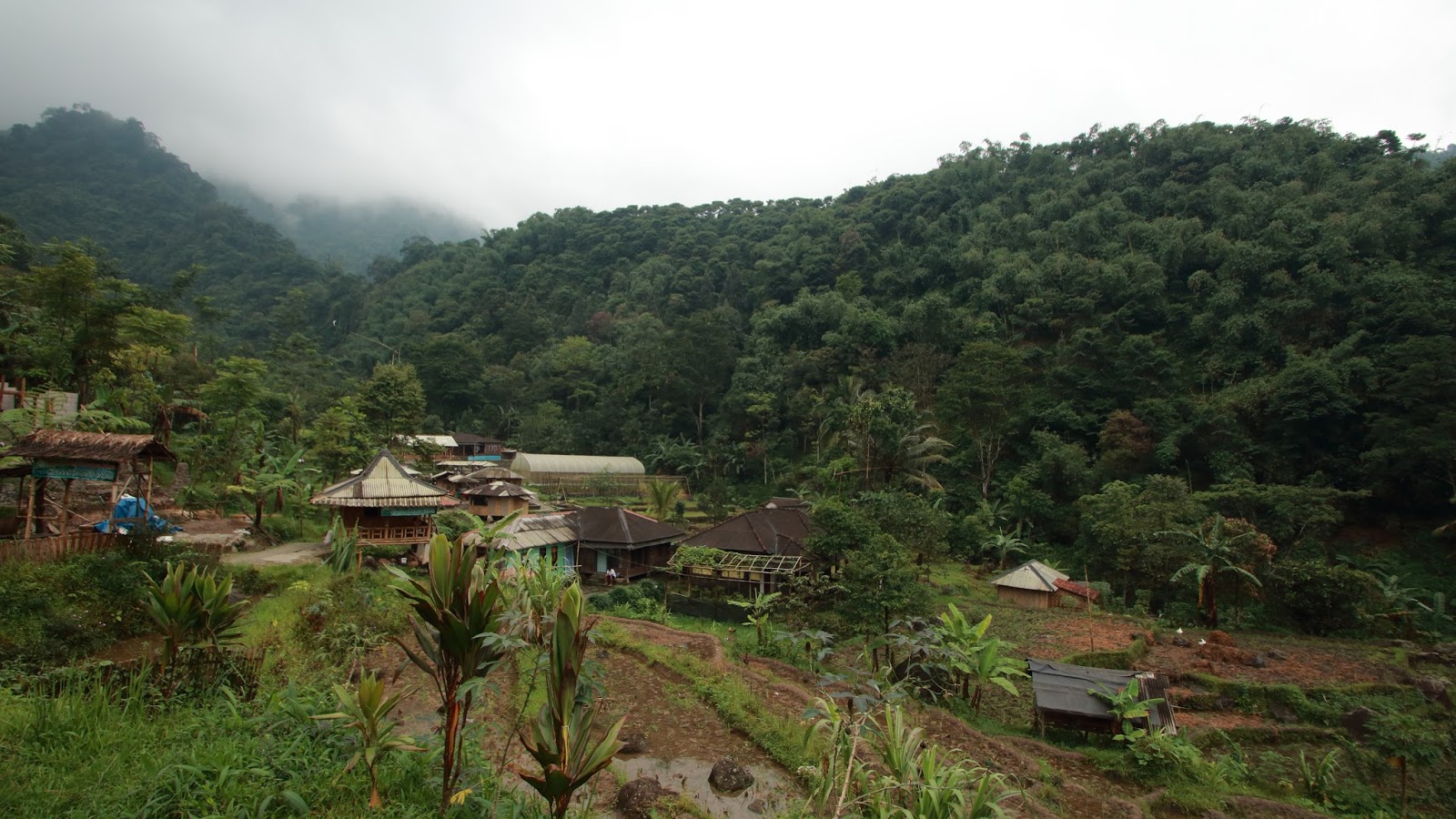 Ciasmara-Sekeping Surga yang Terlupakan I: Curug Saderi ...