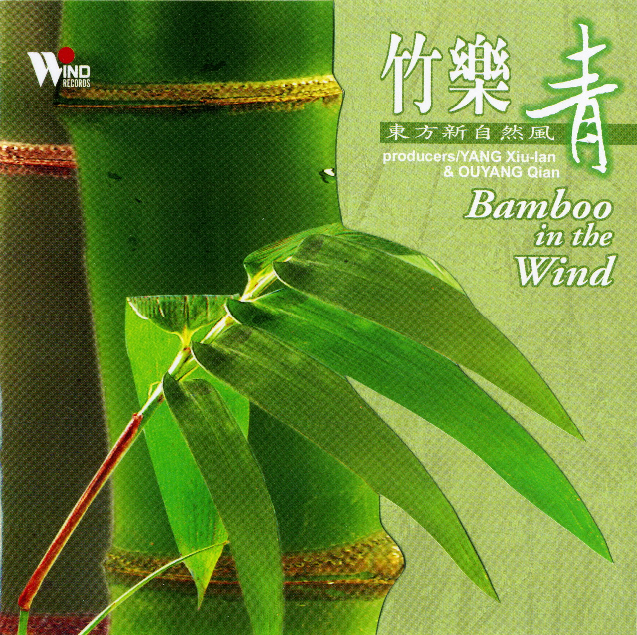 Бамбук кто поет. Big bamboo. московский бамбук песня. поющий бамбук-dream music. картинка диск релакс георгинчики.