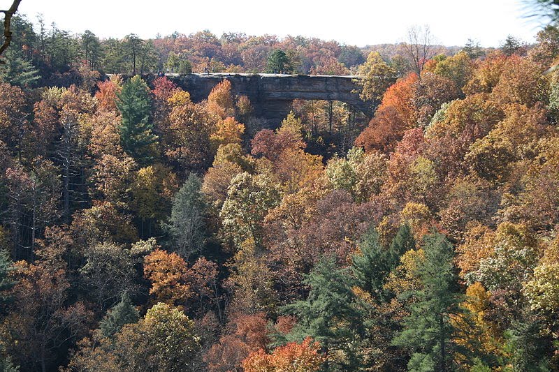 KENTUCKYPICTURESAMERICA NATURAL BRIDGE KENTUCKY STATE PARK