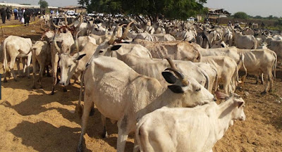 fulani attack farmers death 15 cows
