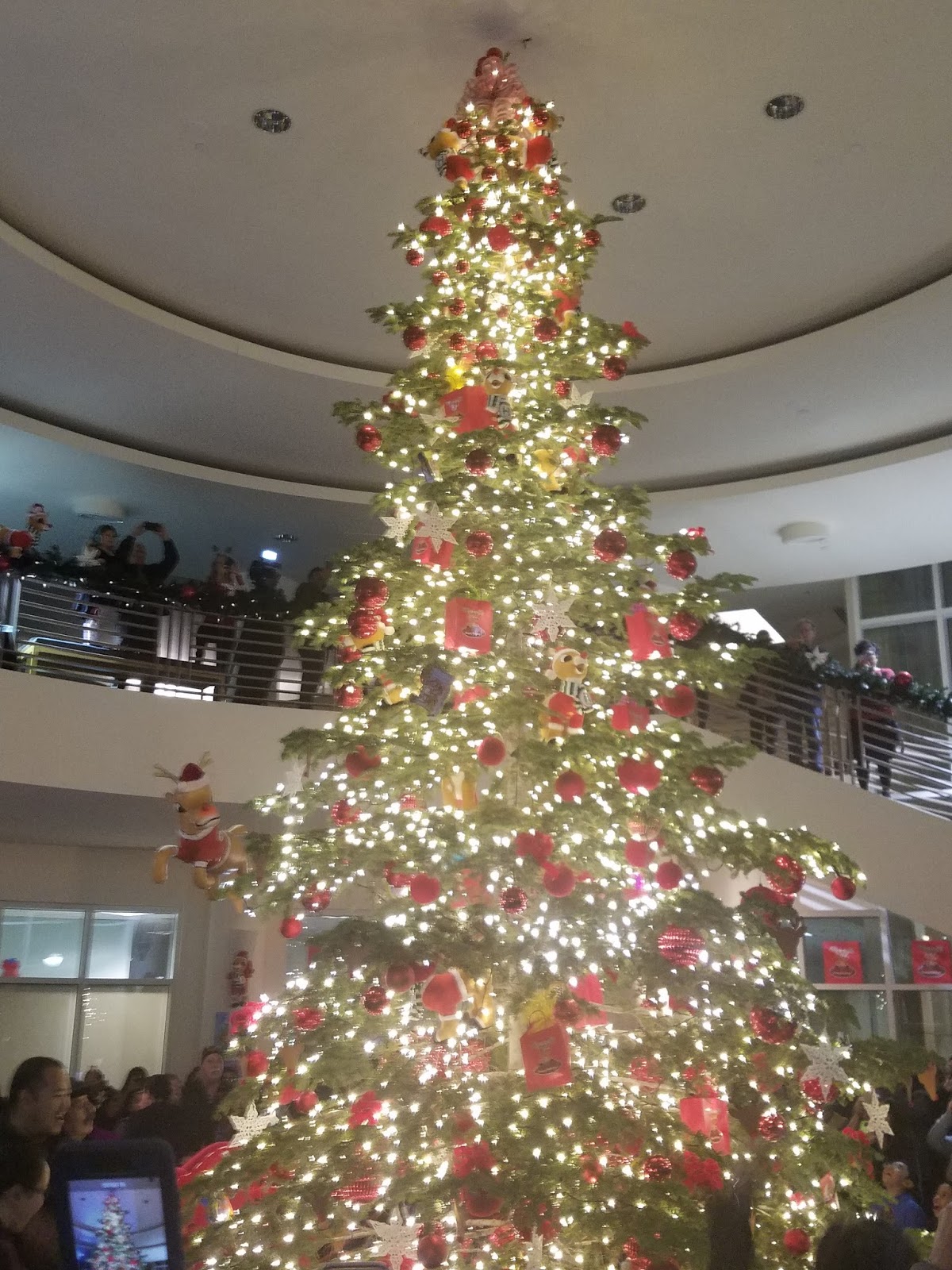 Adventures in Weseland Downtown Hayward Tree Lighting and Santa Con