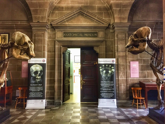Edinburgh University Anatomical Museum