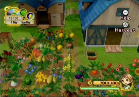 harvest moon tree of tranquility rom dolphin download