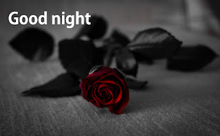 good night black rose images