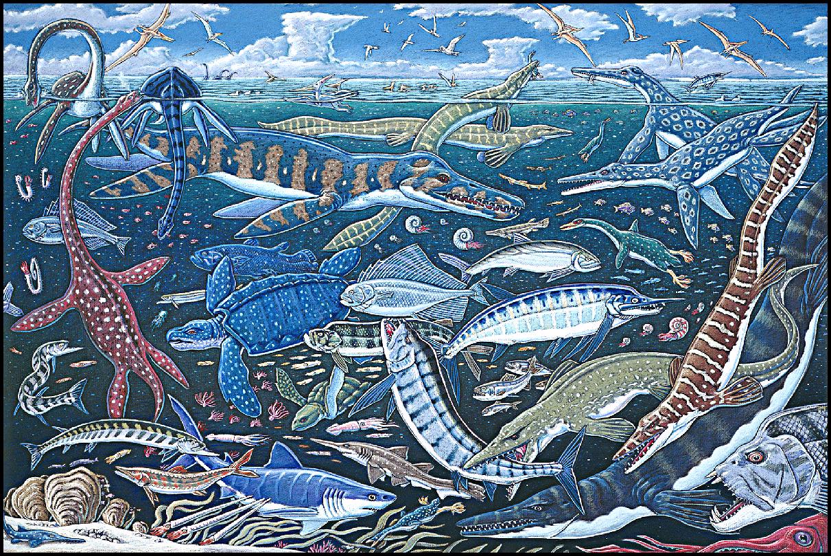 Highly De-Classified: Ray Troll Highly De-Classified: Ray Troll