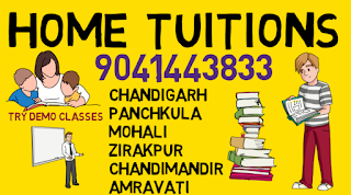 home tutors for maths, science for class 10th in mohali 