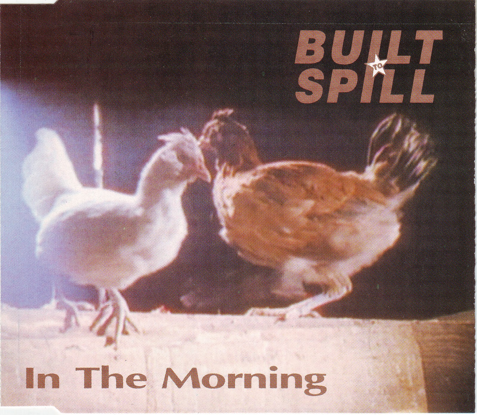 NO PICTURES REVIEWS BUILT TO SPILL IN THE MORNING (CITY SLANG)
