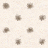 fluffy dots