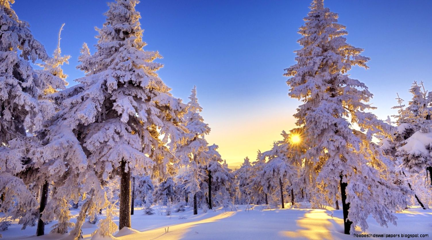 Winter Landscape Desktop Wallpapers and Backgrounds  Cool Wallpapers