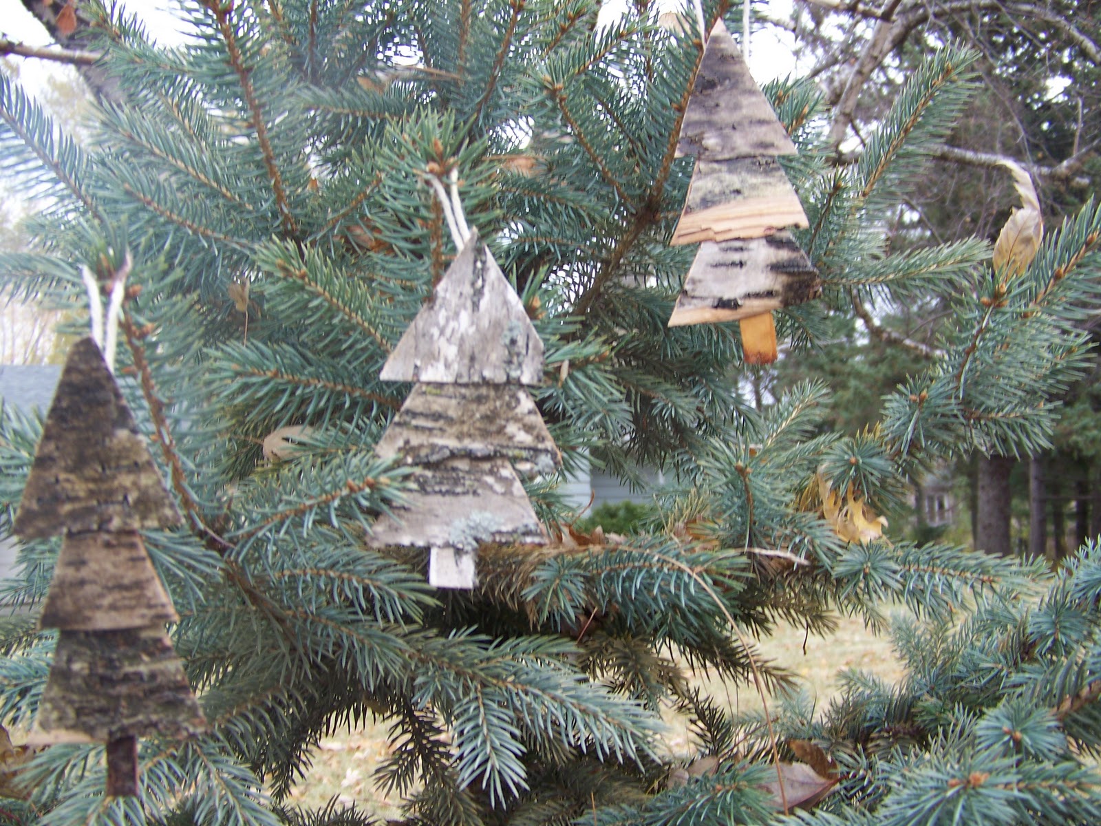 Heartland Hippie: Birch Christmas Tree Ornaments/Gift Tags