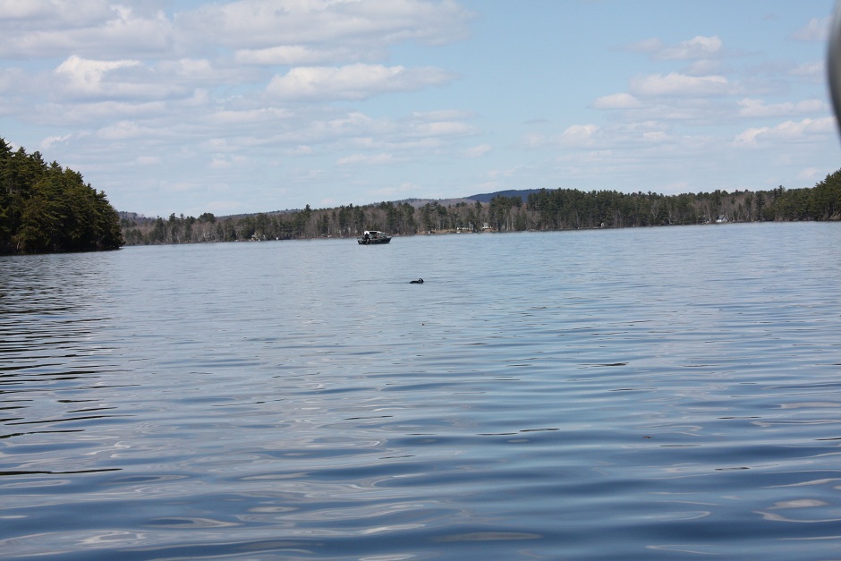 mainematters Lake St First Day Out