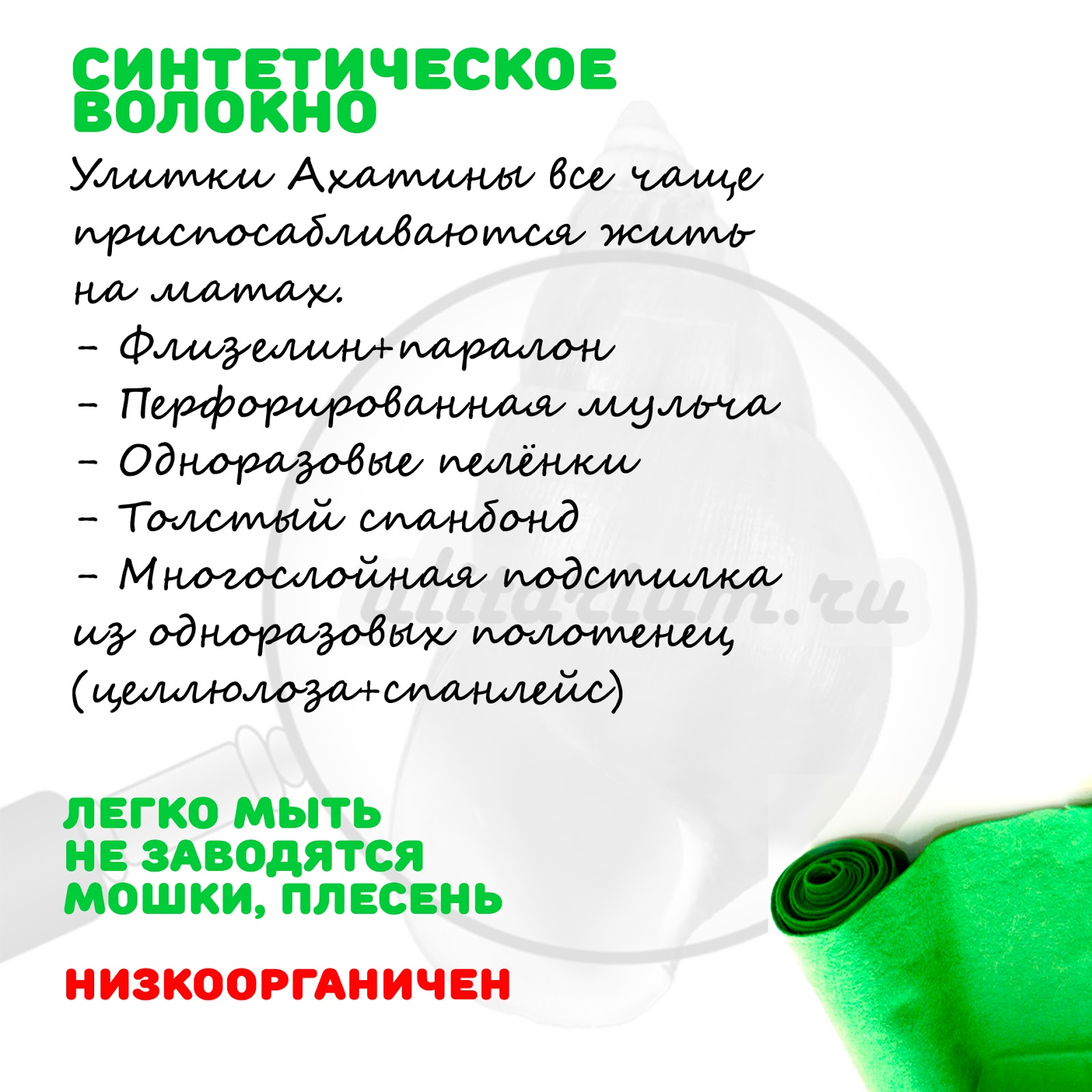 Улитариум - улитки ахатины, виды ахатин, кормление ахатин, правила ...