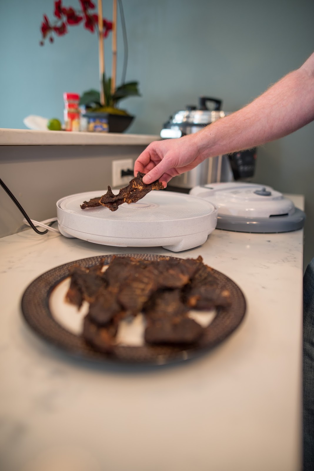 Nesco Blog Recipe of the Week Bloody Mary Jerky with a Nesco Dehydrator