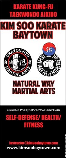 Kim Soo Karate of Baytown
