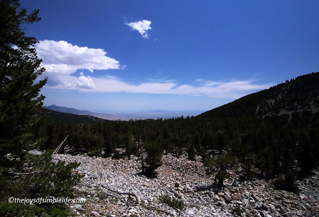 The Joys of Simple Life: Bristlecone and Glacier Trail, Great Basin ...