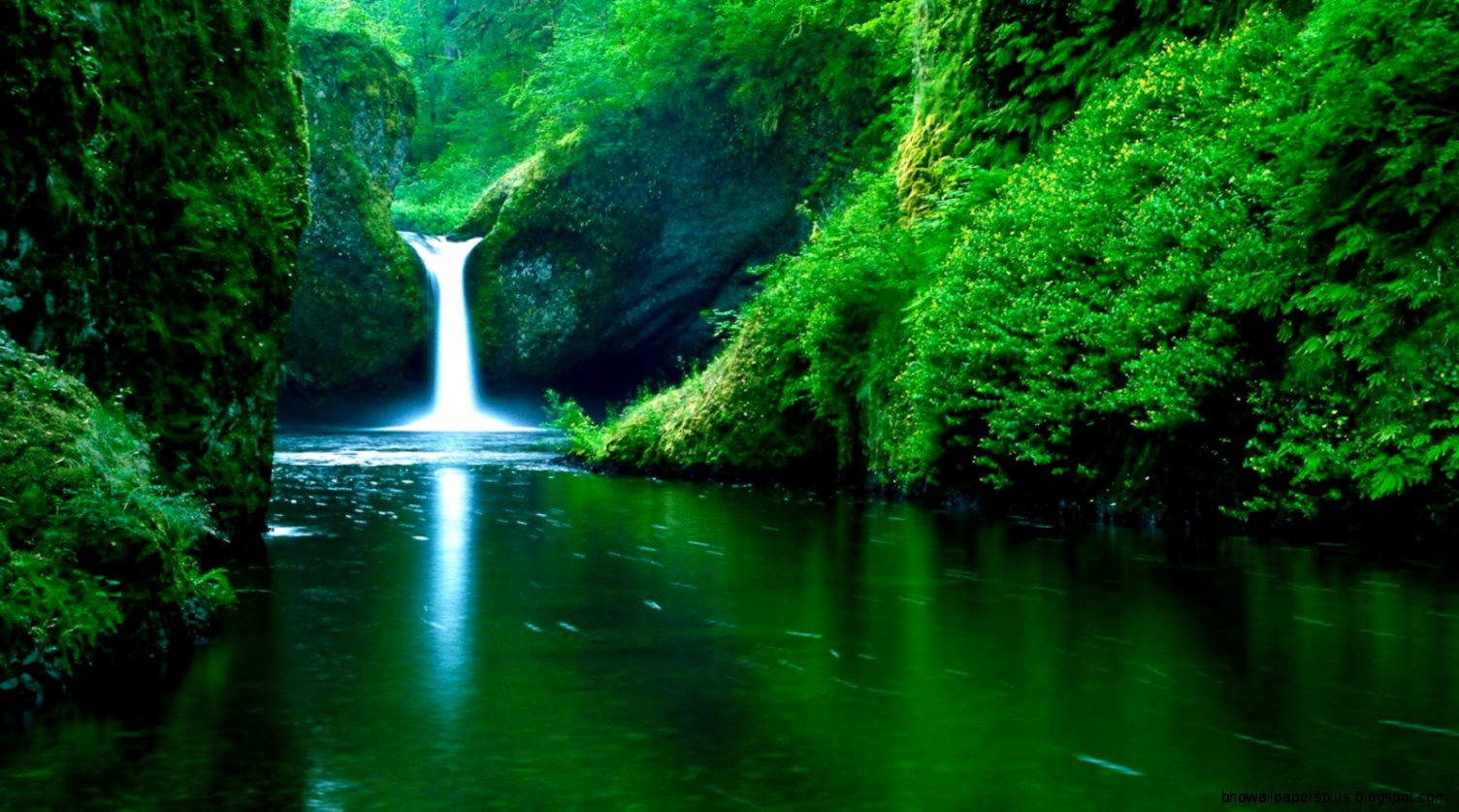 Live Wallpaper 6858197