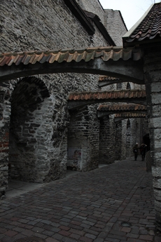 Día 8: Tallin. - Navidades en el Báltico (25)