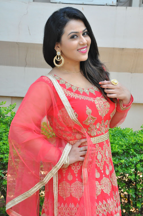 Diana Champika at Indrasena Movie Interview