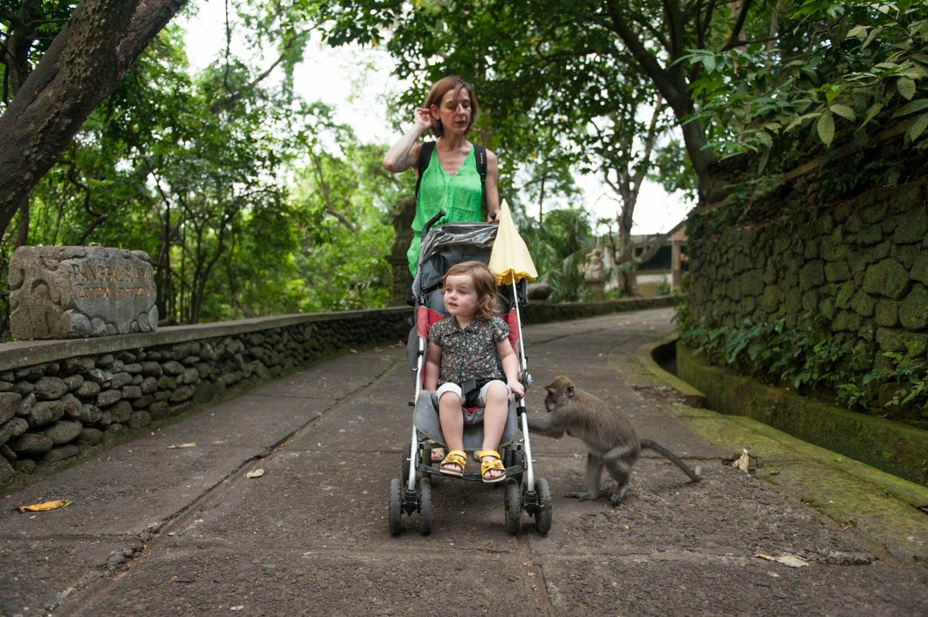 Wisata Bali di Monkey Forest