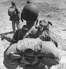 US MARINE JESSE GOIN Y SU PERRO EN KWAJALEIN ISLAS MARSHALL (31/01 al 02/1944)