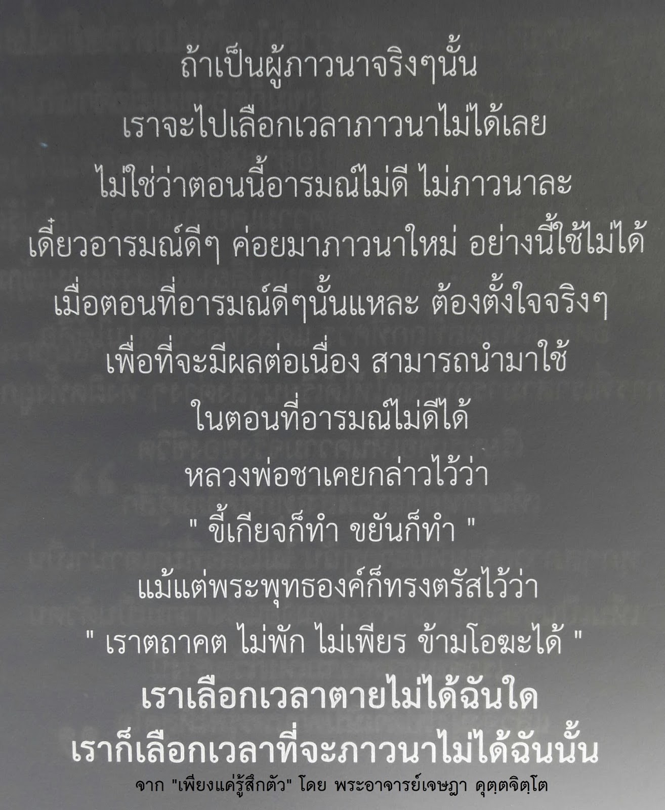 My Image 23