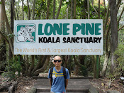Brisbane Koala Sanctuary