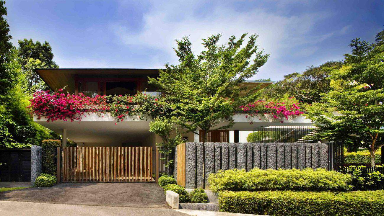 Contemporary Tropical Trees Tanga House