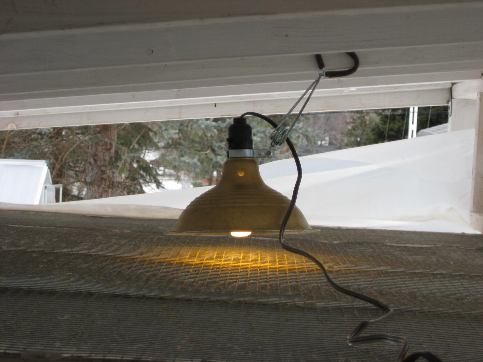 Red Bucket Farm Lighting the Coop