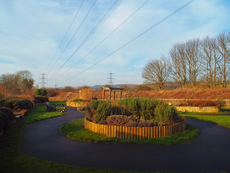 Photographs Of Newcastle: Tyne Riverside Country Park at Newburn