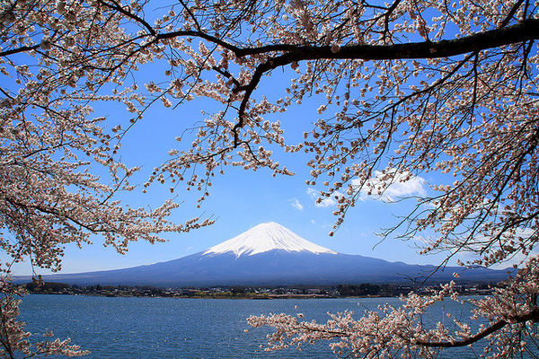 12 Lukisan  Pemandangan Gunung  Fuji  Rudi Gambar