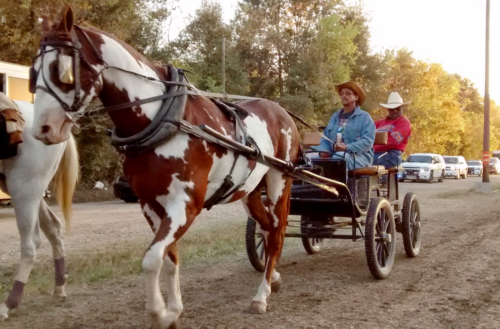 Living Rootless: Louisiana: Plaisance: The Step-n-Strut Trail Ride