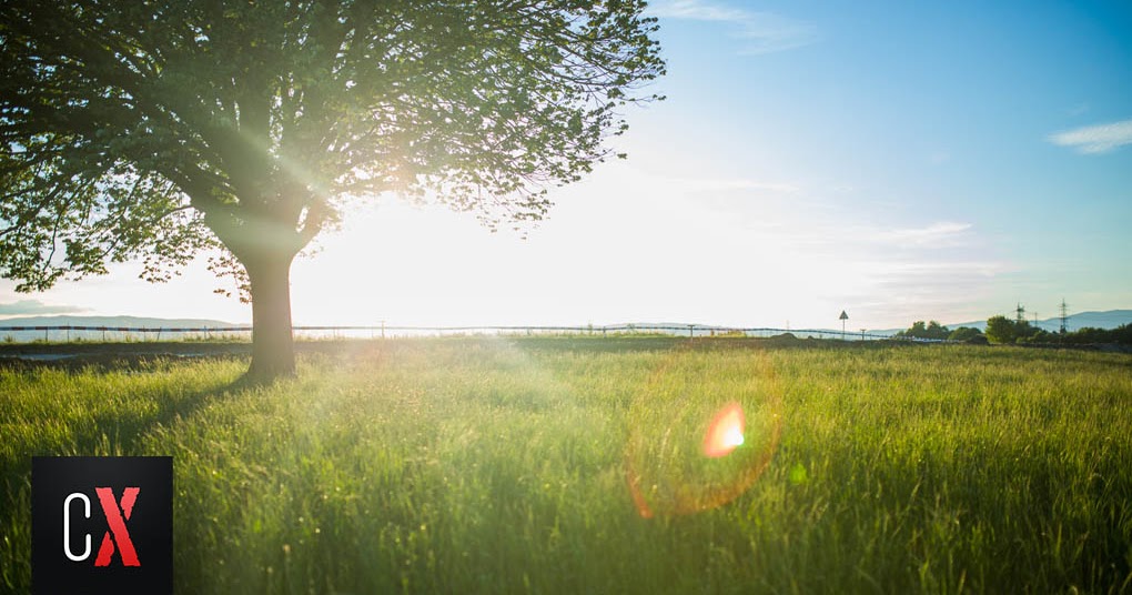 The True Sabbath of a True Christian, According to the Bible Controversy eXtraordinary